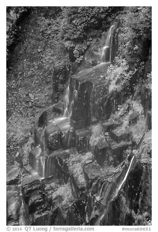 Cascades over columns of basalt, Narada Falls. Mount Rainier National Park (black and white)