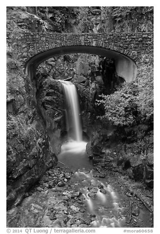 Bridge framing Christine Falls. Mount Rainier National Park (black and white)