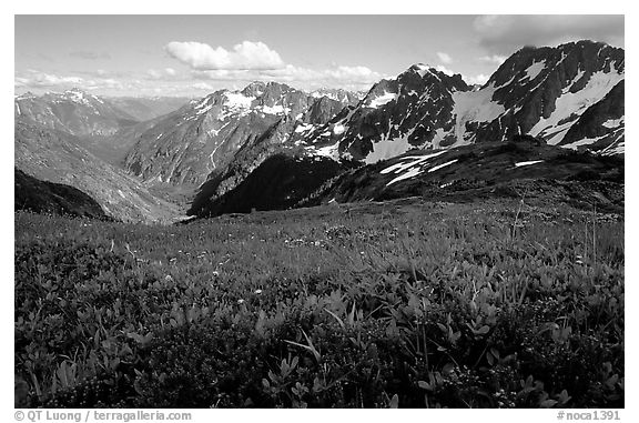 Stehekin Valley seen from Sahale Arm, North Cascades National Park. Washington, USA.