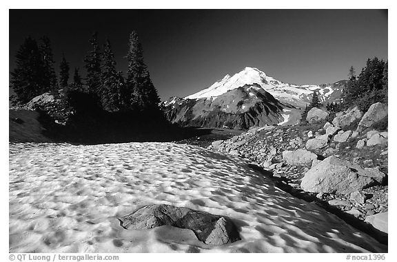 Late summer snow and Mount Baker, early morning. Washington (black and white)