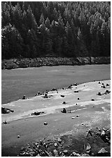 Tree stumps and river. North Cascades National Park ( black and white)