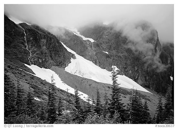 Cascades and snowfields, below Cascade Pass, North Cascades National Park.  (black and white)
