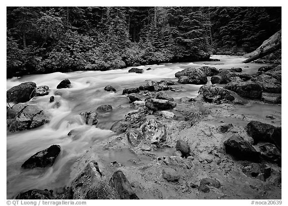 Creek near Kennedy hot springs. North Cascades National Park (black and white)