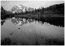 Fireweed flowers, lake with mountain reflections, Mt Shuksan, sunset, North Cascades National Park. Washington, USA. (black and white)