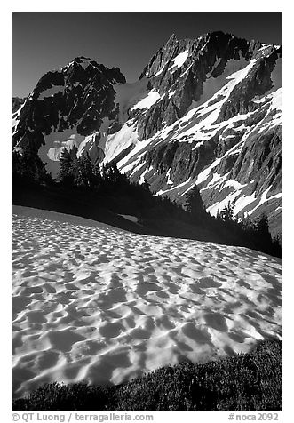 Late summer snow and peaks, Cascade Pass area, morning, North Cascades National Park. Washington, USA.