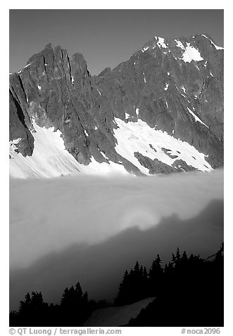 Peaks above fog-filled Cascade River Valley, early morning, North Cascades National Park. Washington, USA.