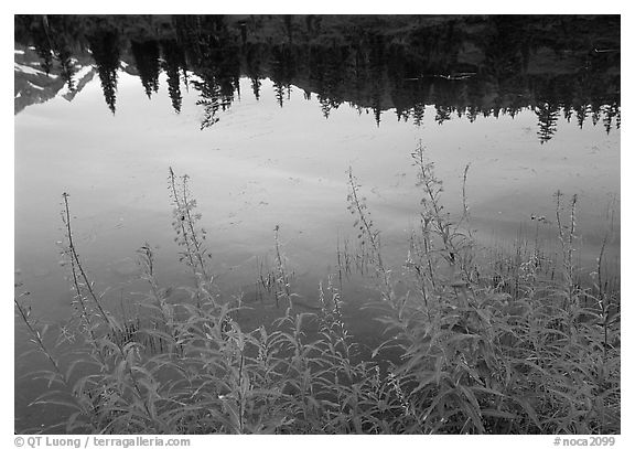 Reflections in Picture lake, sunset,  North Cascades National Park. Washington, USA.