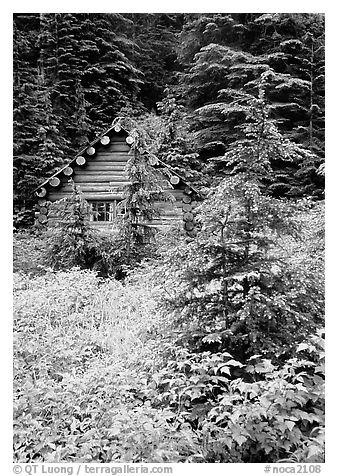 Log cabin, Mt. Baker/Snoqualmie National forest. Washington