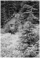Log cabin, Mt. Baker/Snoqualmie National forest. Washington (black and white)