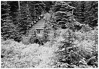 Log cabin, Glacier Peak Wilderness. Washington (black and white)