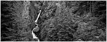 Waterfall in gorge surrounded by forest, North Cascades National Park Service Complex.  (Panoramic black and white)