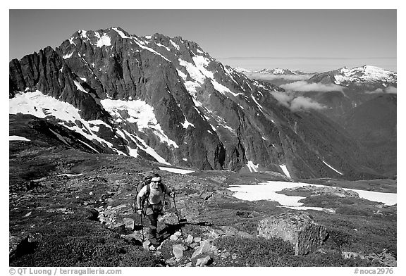 Mountaineer hiking on the way to Sahale Peak,  North Cascades National Park.  (black and white)