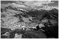 Berry plants in fall color above Hidden Lake, North Cascades National Park.  ( black and white)