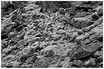 Mossy rocks, North Fork of the Cascade River, North Cascades National Park. Washington, USA. (black and white)