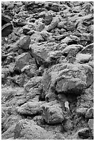 Boulders covered with green moss, North Cascades National Park. Washington, USA. (black and white)