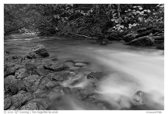 Smooth flow of North Fork of the Cascade River in the fall, North Cascades National Park. Washington, USA.