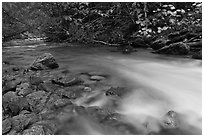 Smooth flow of North Fork of the Cascade River in the fall, North Cascades National Park. Washington, USA. (black and white)