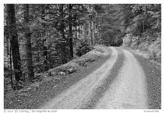 Cascade River Road, North Cascades National Park. Washington, USA.