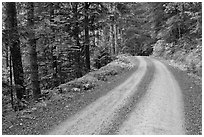 Cascade River Road, North Cascades National Park. Washington, USA. (black and white)