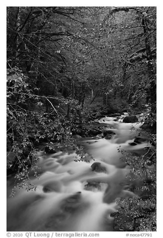 North Fork of the Cascade River, North Cascades National Park.  (black and white)