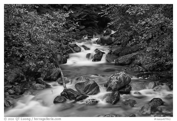 Sibley Creek, Mount Baker Snoqualmie National Forest. Washington (black and white)