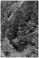 Skagit River gorge, North Cascades National Park Service Complex.  ( black and white)