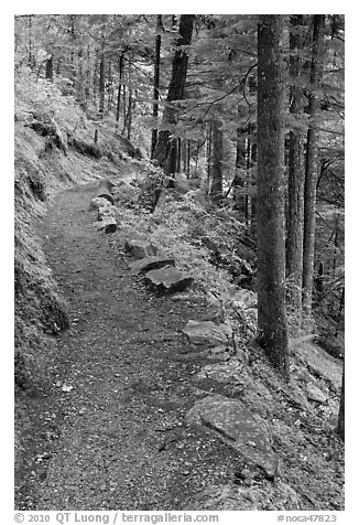 River Loop trail, North Cascades National Park Service Complex.  (black and white)