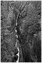 Gorge Creek Falls in autumn, North Cascades National Park Service Complex. Washington, USA. (black and white)