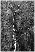 Gorge Creek Falls in autumn, North Cascades National Park Service Complex.  ( black and white)