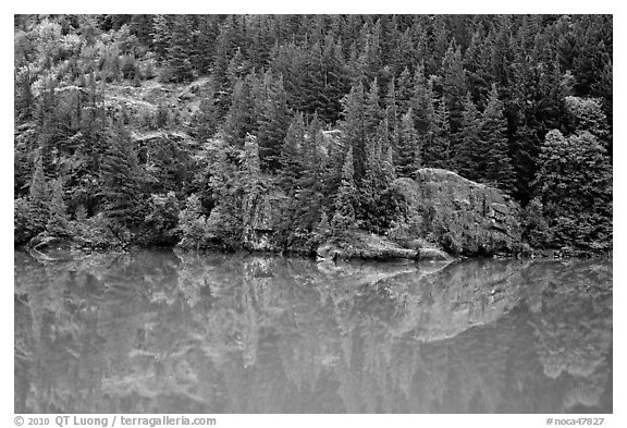 Forest reflected in turquoise waters, Gorge Lake, North Cascades National Park Service Complex. Washington, USA.