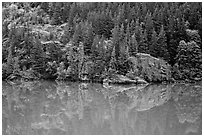 Forest reflected in turquoise waters, Gorge Lake, North Cascades National Park Service Complex. Washington, USA. (black and white)
