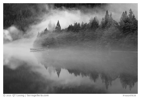 Fog trees, and pier, Diablo Lake, North Cascades National Park Service Complex.  (black and white)