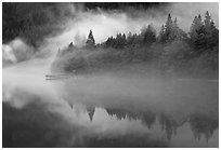 Fog trees, and pier, Diablo Lake, North Cascades National Park Service Complex. Washington, USA. (black and white)