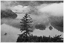 Fog hanging above Diablo Lake, North Cascades National Park Service Complex. Washington, USA. (black and white)