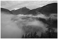 Low fog rolling over Diablo Lake, dawn, North Cascades National Park Service Complex. Washington, USA. (black and white)