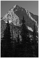 Greybeard Peak rising above forest, North Cascades National Park.  ( black and white)