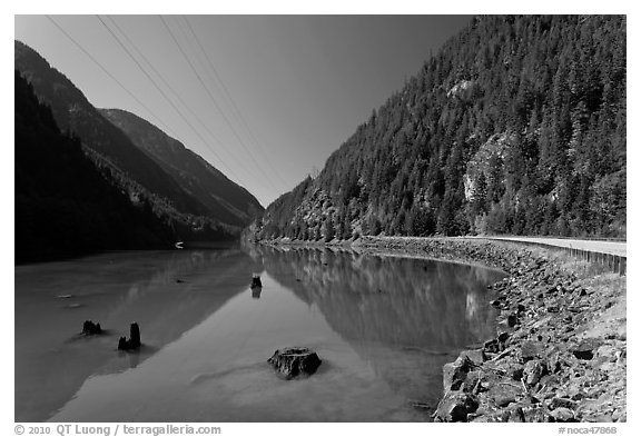 Tree stumps, Gorge Lake,  North Cascades National Park Service Complex. Washington, USA.