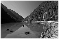 Tree stumps, Gorge Lake,  North Cascades National Park Service Complex. Washington, USA. (black and white)