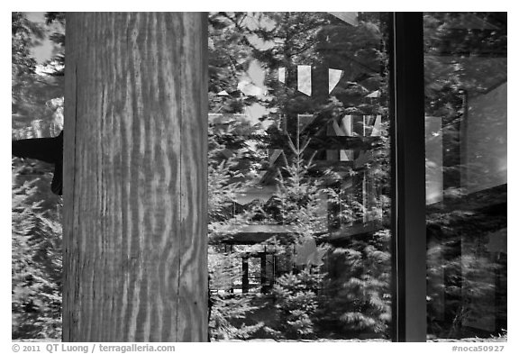 Forest, Visitor Center window reflexion, North Cascades National Park. Washington, USA.