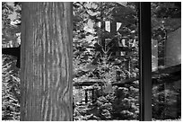 Forest, Visitor Center window reflexion, North Cascades National Park. Washington, USA. (black and white)