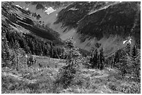 Fisher Creek Basin valley, North Cascades National Park.  ( black and white)