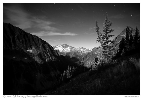Mount Logan from Easy Pass at night, North Cascades National Park.  (black and white)