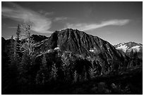 Larches and Mount Logan from Easy Pass at night, North Cascades National Park.  ( black and white)
