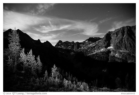 Larch trees and Fisher Creek cirque at night, North Cascades National Park.  (black and white)