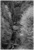 Waterfall in autumn, North Cascades National Park Service Complex.  ( black and white)