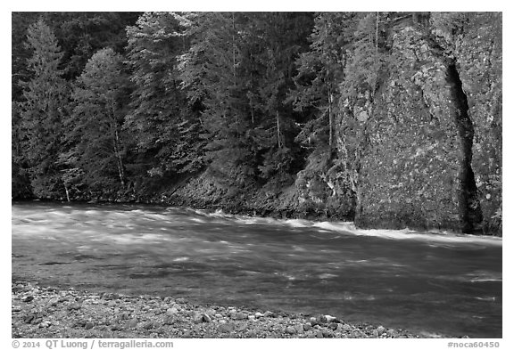 Stream near Gorge Lake, North Cascades National Park Service Complex.  (black and white)
