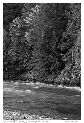 Stream in autumn, Gorge Lake, North Cascades National Park Service Complex.  (black and white)
