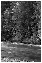 Stream in autumn, Gorge Lake, North Cascades National Park Service Complex.  ( black and white)