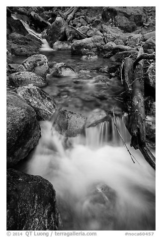 Cascading creek, North Cascades National Park Service Complex.  (black and white)