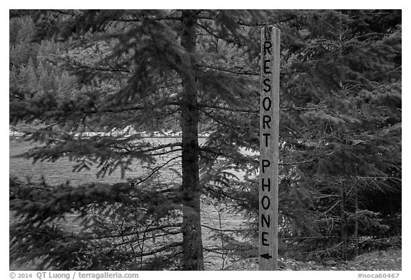 Sign pointing to phone used to call Ross Lake resort, North Cascades National Park Service Complex.  (black and white)